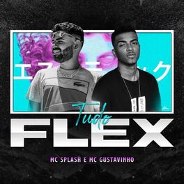 Album cover of Tudo Flex