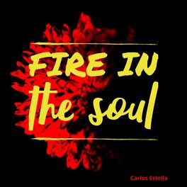 Album cover of Fire in the Soul