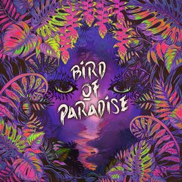 Album cover of Bird of Paradise