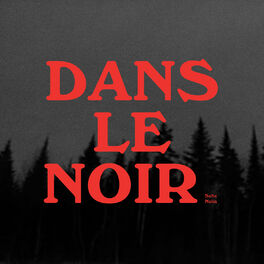 Album cover of Dans le noir