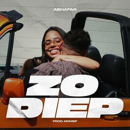 Album cover of Zo Diep