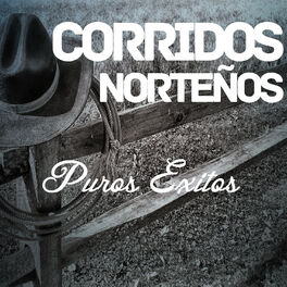 Album cover of Corridos Nortenos Puros Exitos: Enamorado Otra Vez, Besame, La Ultima Vez, El Cisne