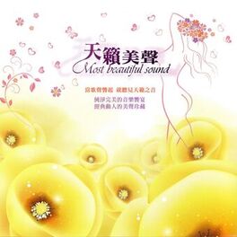 Album cover of 天籟美聲 (當歌聲響起 就聽見天籟之音)