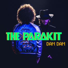 Album cover of Dam Dam