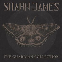 Album cover of The Guardian Collection