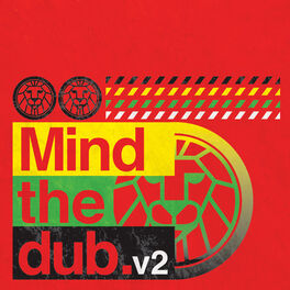 Album cover of Mind The Dub, Vol.2