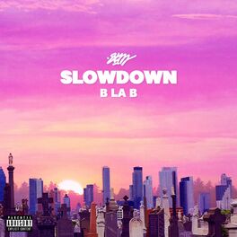 Album cover of Slowdown