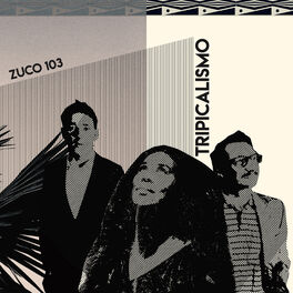 Album cover of Tripicalismo