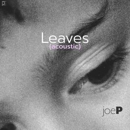 Album cover of Leaves (Acoustic)