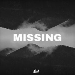 Album picture of Missing
