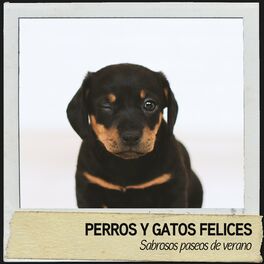 Album cover of Perros y Gatos Felices: Sabrosos paseos de verano