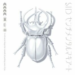 Album cover of Sentimental　macchiato