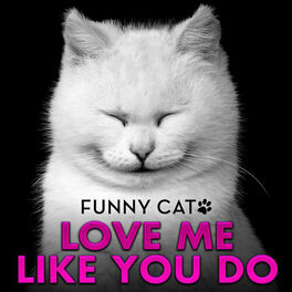 love me meme cat