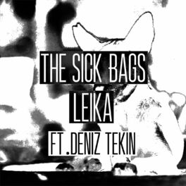 Album cover of Leika