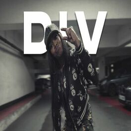 Album cover of D.I.V