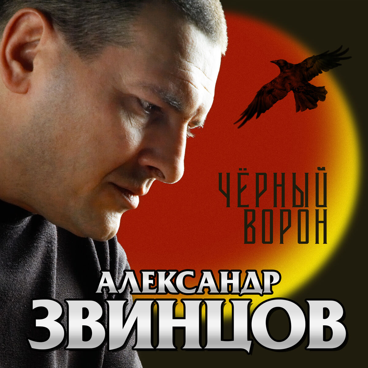 Александр Звинцов: альбомы, песни, плейлисты | Слушайте на Deezer