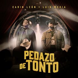 Album cover of Pedazo De Tonto
