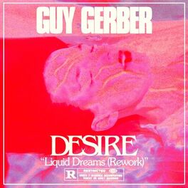 Album cover of Liquid Dreams (Guy Gerber Rework)