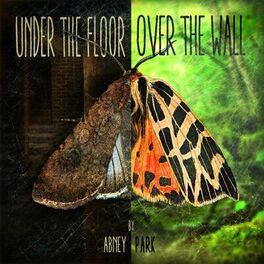 Album cover of Under the Floor, Over the Wall