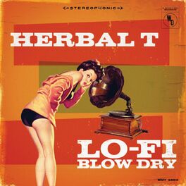 Album cover of Lo-Fi Blow Dry