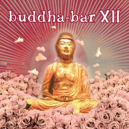 Album cover of Buddha Bar XII