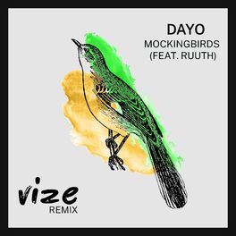 Album cover of Mockingbirds (VIZE Remix)