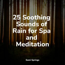 Album cover of 25 Soothing Sounds of Rain for Spa and Meditation