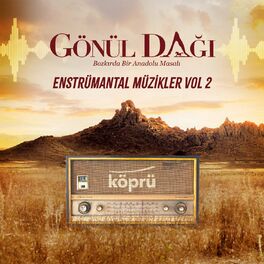 Album cover of Gönül Dağı Enstrümantal Müzikler Vol 2