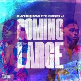 Album cover of Coming Large