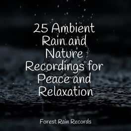 Album cover of 25 Ambient Rain and Nature Recordings for Peace and Relaxation