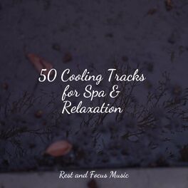 Album cover of 50 Cooling Tracks for Spa & Relaxation