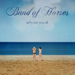 Album cover of Why Are You OK