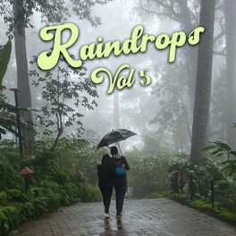 Album cover of Raindrops Vol 5