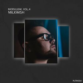 Album cover of Modulism, Vol. 4