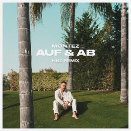 Album cover of Auf & Ab (HBz Remix)