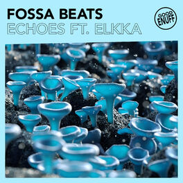 Album cover of Echoes (feat. Elkka)