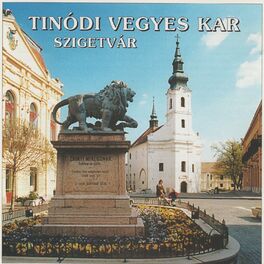 Album cover of Tinódi vegyeskar
