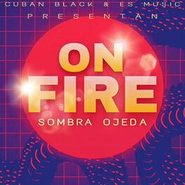 Album cover of On fire