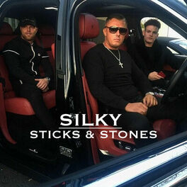 Album cover of Sticks And Stones