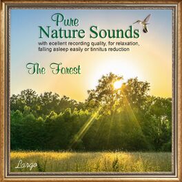 Album cover of Pure Nature Sounds: The Forest