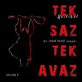 Album cover of Tek Saz Tek Avaz, Vol. 1 (Hasbihal)