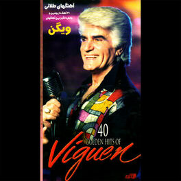 Album cover of 40 Golden Hits Of Viguen