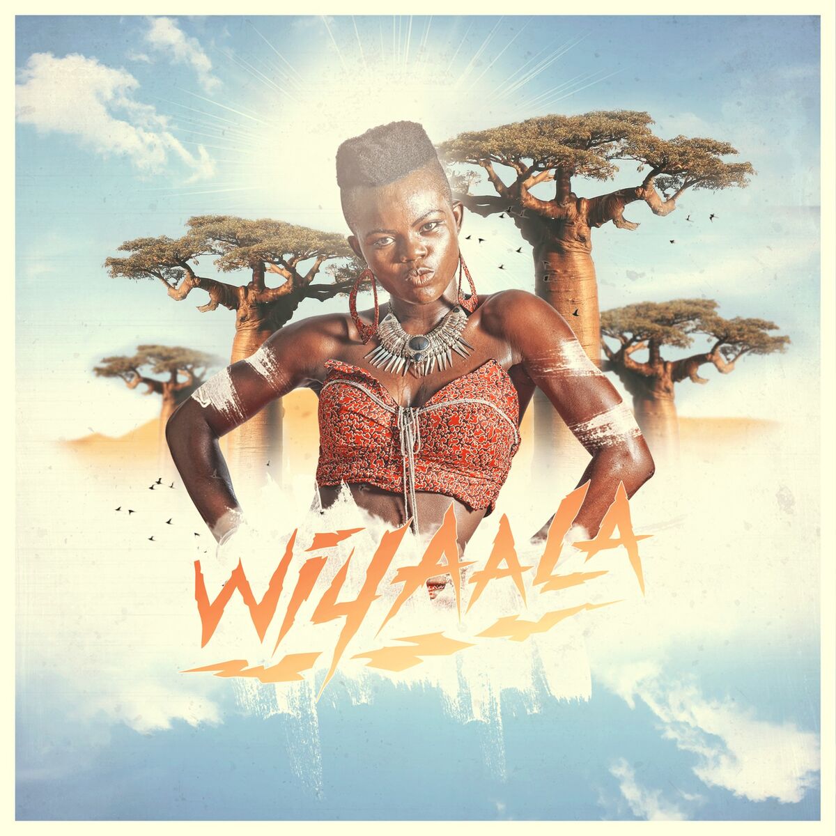 Wiyaala - Village Sex: listen with lyrics | Deezer