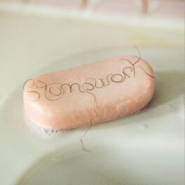 Album cover of Stumpwork