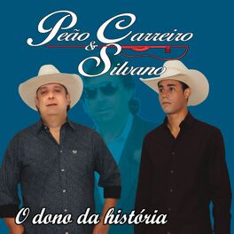 Album cover of O Dono da História