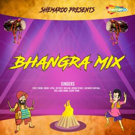 Album cover of Bhangra Mix