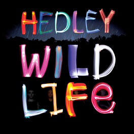Album cover of Wild Life