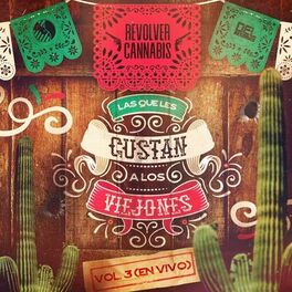 Album cover of Las Que Les Gustan a Los Viejones, Vol. 3 (En Vivo)