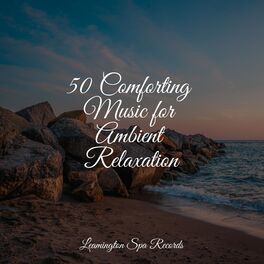 Album cover of 50 Comforting Music for Ambient Relaxation