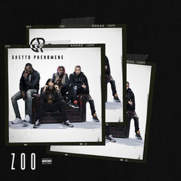 Album cover of Zoo